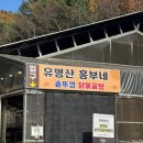 가마솥에꾸운닭 | 가평 가마솥 닭볶음탕 맛집 유명산흥부네 솥뚜껑닭볶음탕 내돈내산 솔직후기