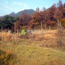 경남 함양군 수동면 도북리 / 밭 전, 귀농하실분 요양소부지 특산물재배용지 요양병원용지 농사부지 밭작물재배부지 귀농부지추천지 / 2 이미지