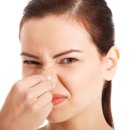 한빛치과 이미지