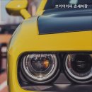 브이아이피손세차