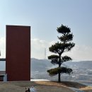 [일상] 라바 팬클럽 2024 춘천여행 2 (춘천 반려동물 동반 여행)