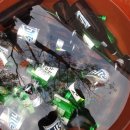 호서남초등학교 이미지