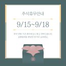베를린 동물치과센터 이미지