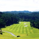 샌드파인 골프클럽 이미지