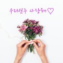 🌷CBS방송🌷감동🌷눈물🌷 이미지