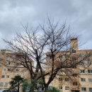 제원작은도서관 이미지