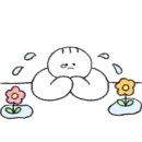 꽃드리 이미지