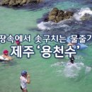 땅속에서 솟구치는 시원한 물줄기, 제주 `용천수` 이미지