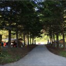 인제자연학교 캠핑장 이미지