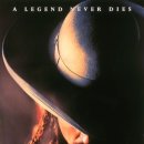 와일드빌 이미지