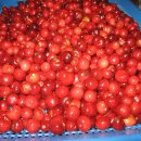 계월농장 이미지