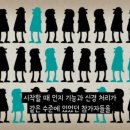 돌체악기