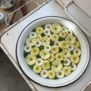 삼청동 애견동반 카페 감성 뚝뚝, 소품샵 겸 카페! 마르쉐무아