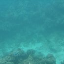 엘리트치과병원 이미지