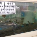 포항 참가자미횟집 이미지