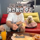 부천 오라델떼 애견동반 후기, 대형카페 실제 분위기