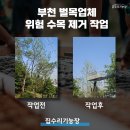 수목묘지공사 | 부천 벌목업체 사고 위험 직전의 상황!