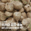 혜성농원 - 강동구 천호대로213길 9 | 당뇨 간식 찾다 발견한 히카마 효능과 먹는 법 3가지