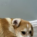 덕지천로 이미지