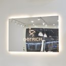 오스트리치안경 이미지