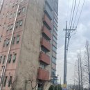 삼향천8 | 목포 아이랑 소아과 미즈아이 근처 푸드트럭 호두과자 그리고 삼향천 공원 오리쉼터 오리구경 산책 후기