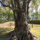 구산면522 | [마산여행] 여항산 날개 속에 숨어 있는 천년고찰 ‘의림사’