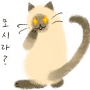 밑반찬&안주요리 이미지