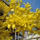 화목교회 이미지