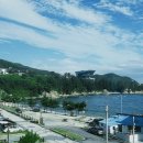 이안애팬션 | 2023.08.25 여름휴가 3(강원도 삼척/장호해수욕장/세모레스토랑/102카페/삼척해수욕장/한올 오징어보쌈...