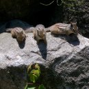 진동너와촌뜰사랑채 이미지