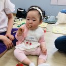 도로시의숲 이미지