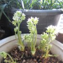 갈산공원 이미지