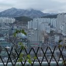 지로인 행정사 사무소 네이버블로그