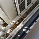 귀소농장 이미지