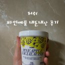 파인애플 | [러쉬] 파인애플 내돈내산 후기🍍