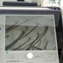 로운이네 살롱 이미지