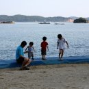 두바다찬솔 이미지