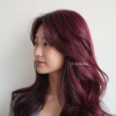 딥블랑 이미지
