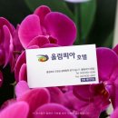 올림피아모텔 이미지