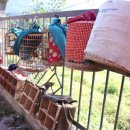 종합새시장 이미지