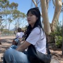 시드니 여행✈️ 2024가고 2025년 오세요