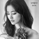 뉴스카이 이미지