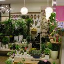 우리화원 이미지