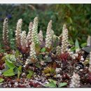 만수무강 이미지