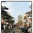 소나무인력개발 이미지