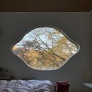 레몬하우스 이미지