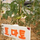 선린어린이집 이미지