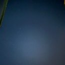 람사르 57 | [경기] 대부도 풀빌라/독채펜션 타운 ‘람사르57’ 단체 1박 후기 | 펜션 장보기-코스트코 추천템