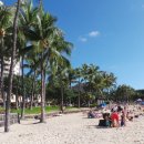 와이키키 이미지