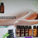 화림전기
